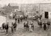 Fred Bertrand, Livery Stable, Amherstburg, Courtesy of Fort Malden