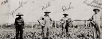Petite Cte market gardeners, 1920, Courtesy of Marcel Meloche