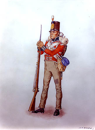 J.C.H Forster's picture of the uniform of a private in the Militia